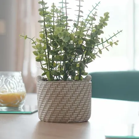 Terraco Dos Rabujas Апартаменты