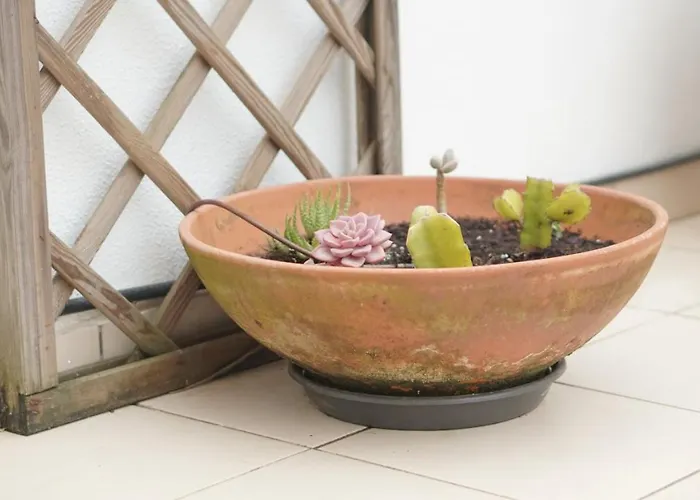 Апартаменты Terraco Dos Rabujas Назаре