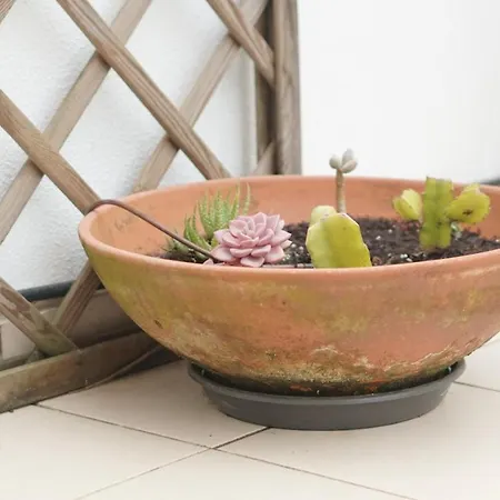 شقة Terraco Dos Rabujas نازاريه