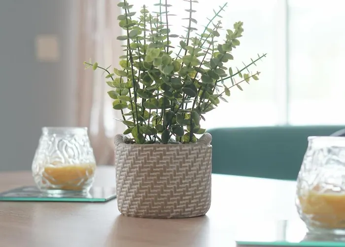 Terraco Dos Rabujas Apartment