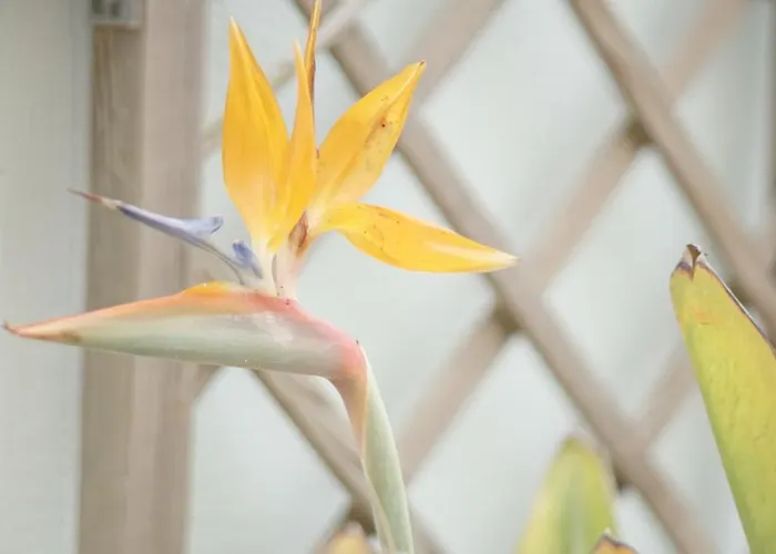 Terraco Dos Rabujas Apartment *